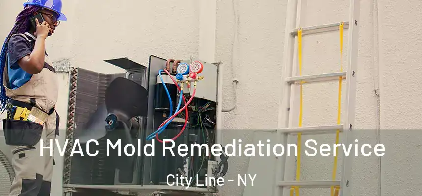 HVAC Mold Remediation Service City Line - NY