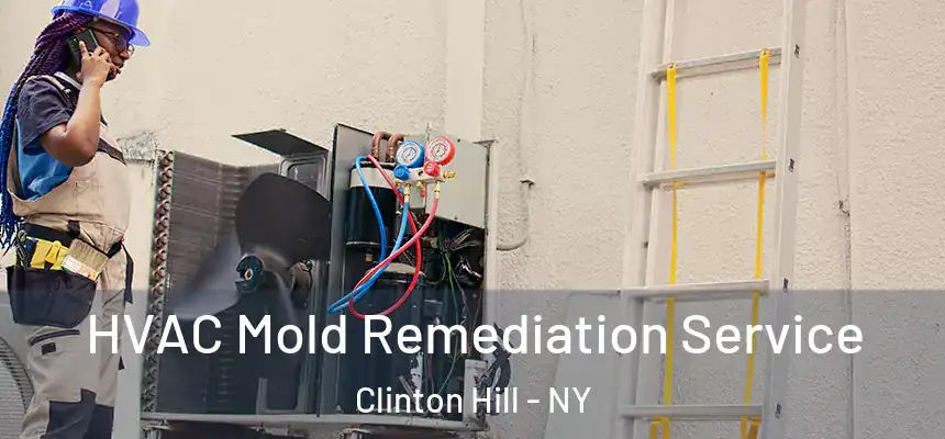 HVAC Mold Remediation Service Clinton Hill - NY