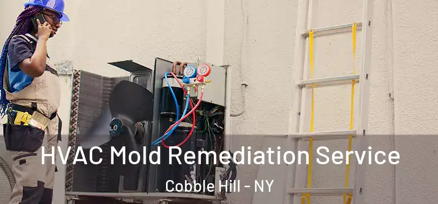 HVAC Mold Remediation Service Cobble Hill - NY