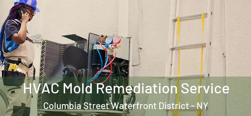 HVAC Mold Remediation Service Columbia Street Waterfront District - NY