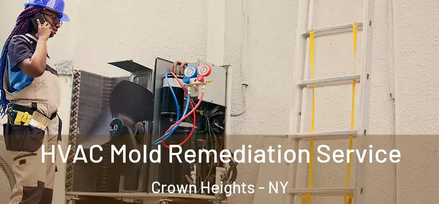 HVAC Mold Remediation Service Crown Heights - NY
