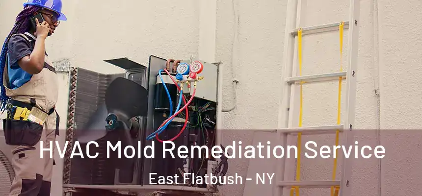HVAC Mold Remediation Service East Flatbush - NY