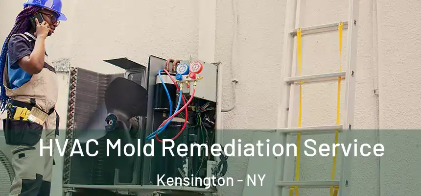  HVAC Mold Remediation Service Kensington - NY