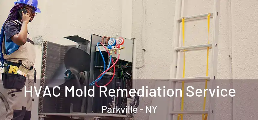 HVAC Mold Remediation Service Parkville - NY