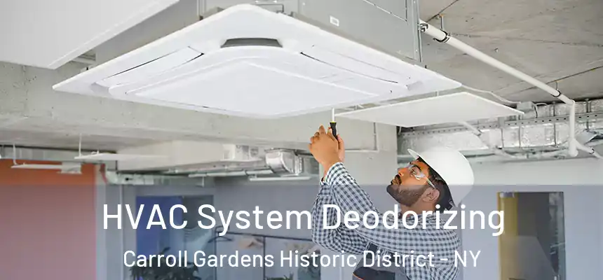 HVAC System Deodorizing Carroll Gardens Historic District - NY