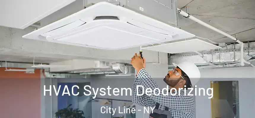 HVAC System Deodorizing City Line - NY