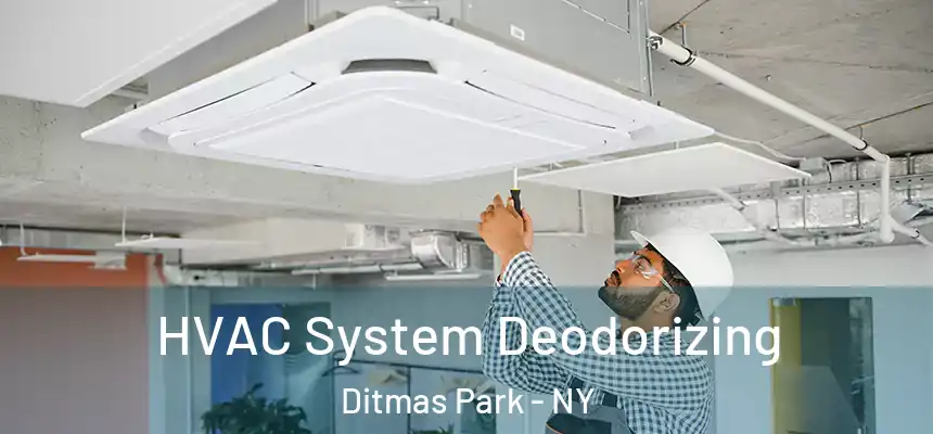 HVAC System Deodorizing Ditmas Park - NY