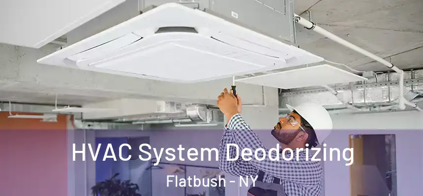 HVAC System Deodorizing Flatbush - NY