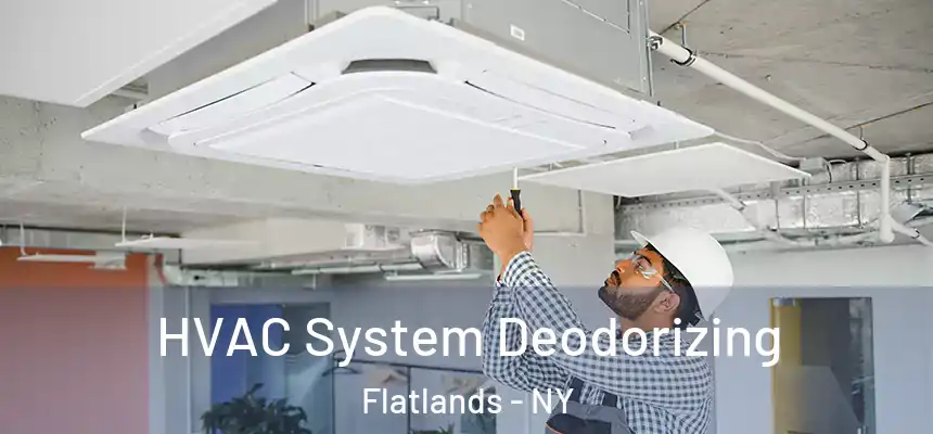 HVAC System Deodorizing Flatlands - NY