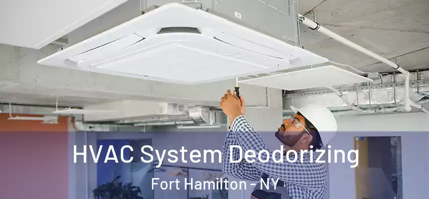 HVAC System Deodorizing Fort Hamilton - NY