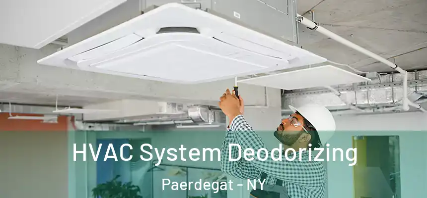 HVAC System Deodorizing Paerdegat - NY