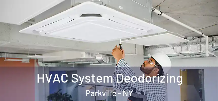 HVAC System Deodorizing Parkville - NY