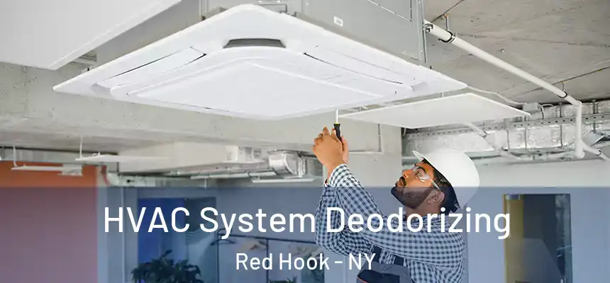 HVAC System Deodorizing Red Hook - NY