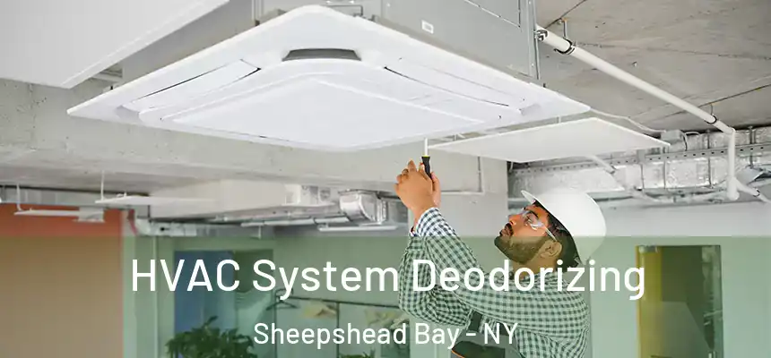 HVAC System Deodorizing Sheepshead Bay - NY