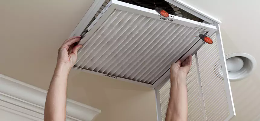 Preventive Cockroach-Proofing for Ducts in East New York