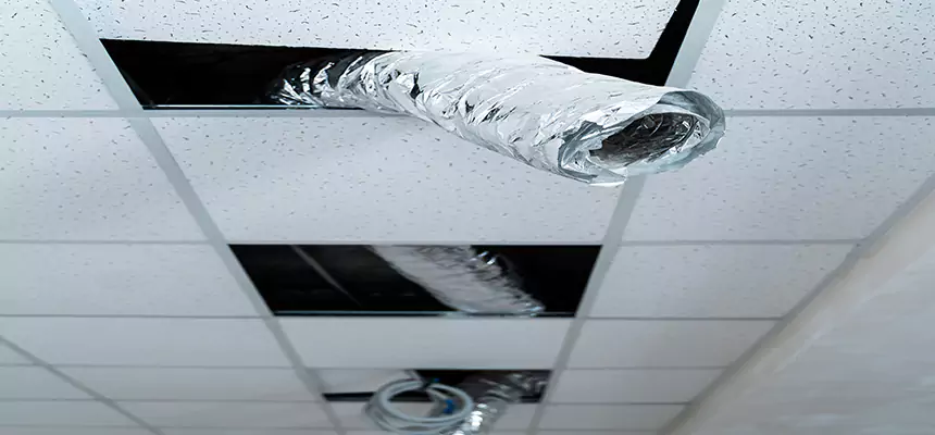 Affordable HVAC Sanitizing After Pest Removal in Red Hook