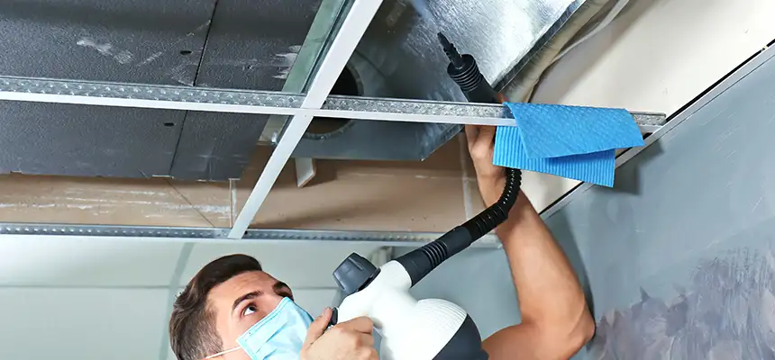 Our Air Duct Rodent Removal Services in Cobble Hill, NY