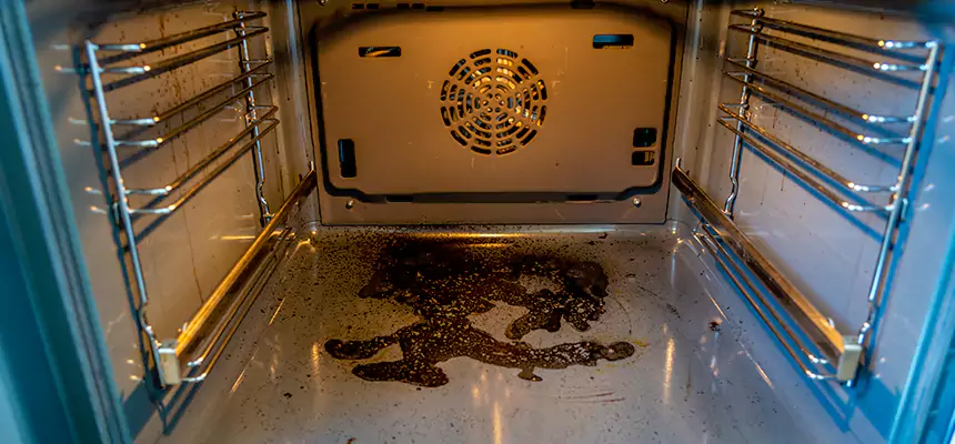 Our Dryer Vent Mold Cleaning Services in Brooklyn, NY