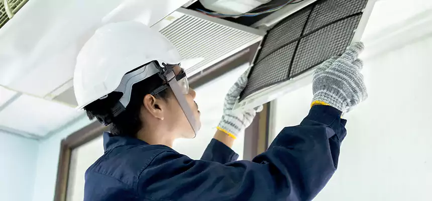 Our Mold & Mildew Removal from Air Ducts Services in Paerdegat, NY