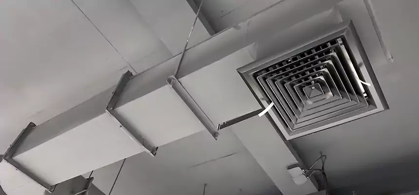 Our Pest Removal From Ducts Services in Crown Heights, NY