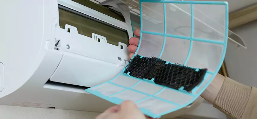 Gentle Ductwork Odor-Control Pet Dander Duct Cleaning in Gravesend, NY