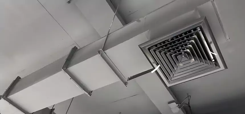 Our Rodent Droppings In Vents Services in Paerdegat, NY