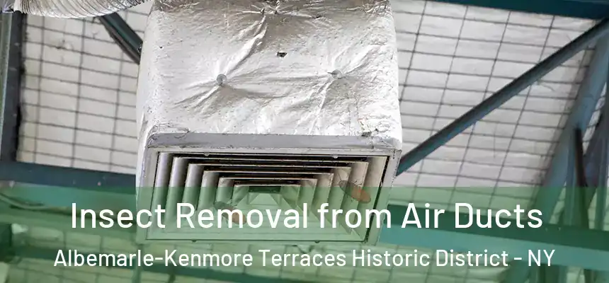 Insect Removal from Air Ducts Albemarle-Kenmore Terraces Historic District - NY