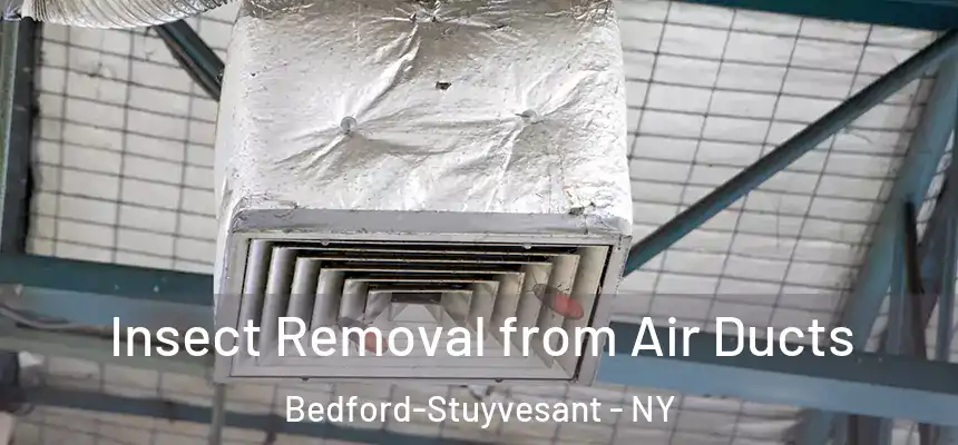Insect Removal from Air Ducts Bedford-Stuyvesant - NY