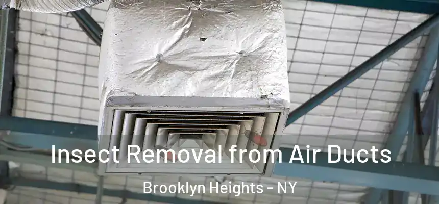Insect Removal from Air Ducts Brooklyn Heights - NY