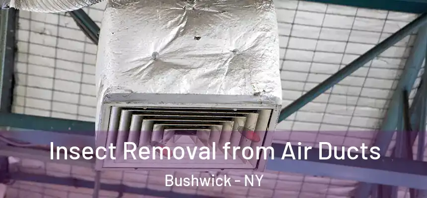  Insect Removal from Air Ducts Bushwick - NY