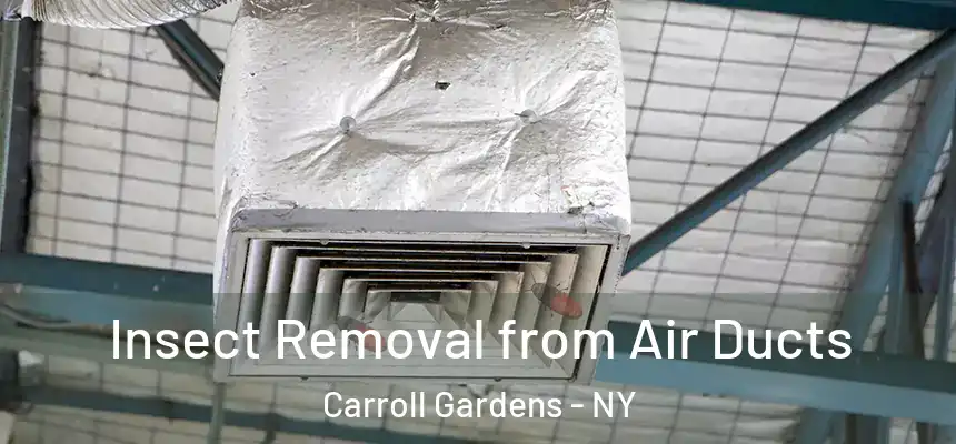  Insect Removal from Air Ducts Carroll Gardens - NY