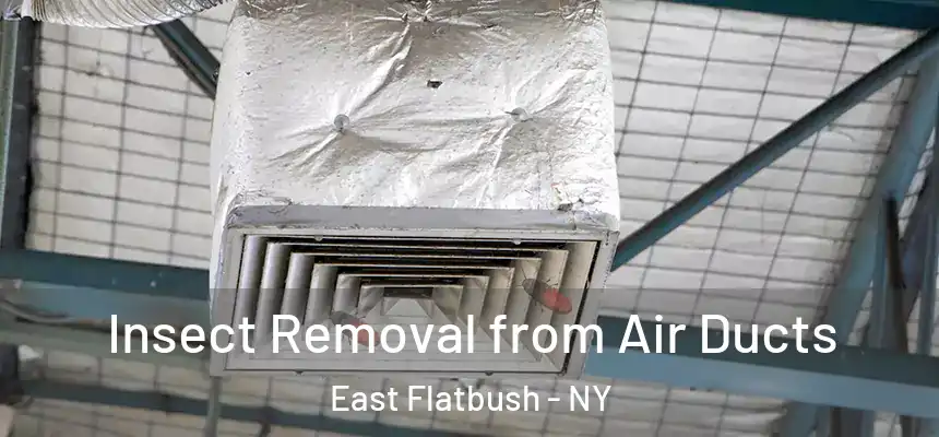 Insect Removal from Air Ducts East Flatbush - NY