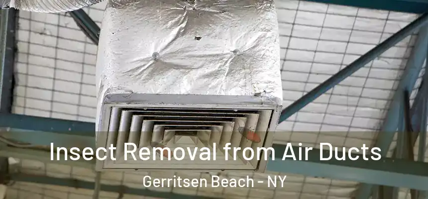 Insect Removal from Air Ducts Gerritsen Beach - NY