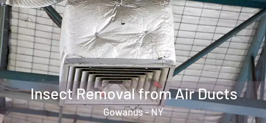 Insect Removal from Air Ducts Gowanus - NY
