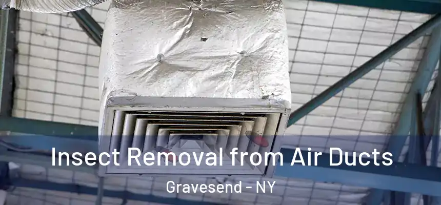 Insect Removal from Air Ducts Gravesend - NY