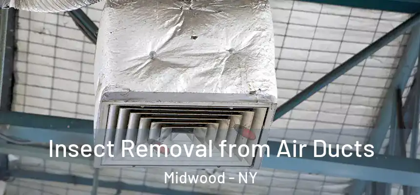  Insect Removal from Air Ducts Midwood - NY