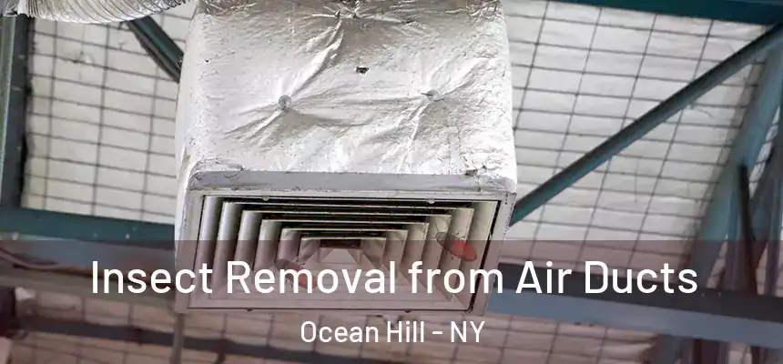 Insect Removal from Air Ducts Ocean Hill - NY