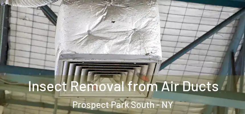  Insect Removal from Air Ducts Prospect Park South - NY