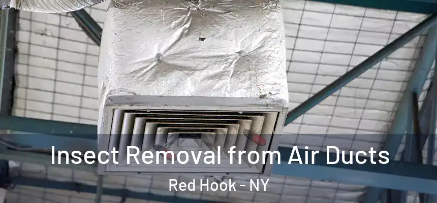 Insect Removal from Air Ducts Red Hook - NY