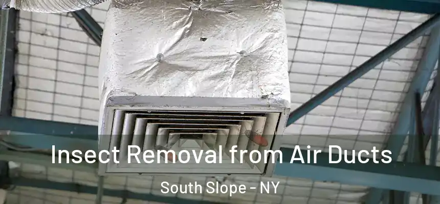 Insect Removal from Air Ducts South Slope - NY
