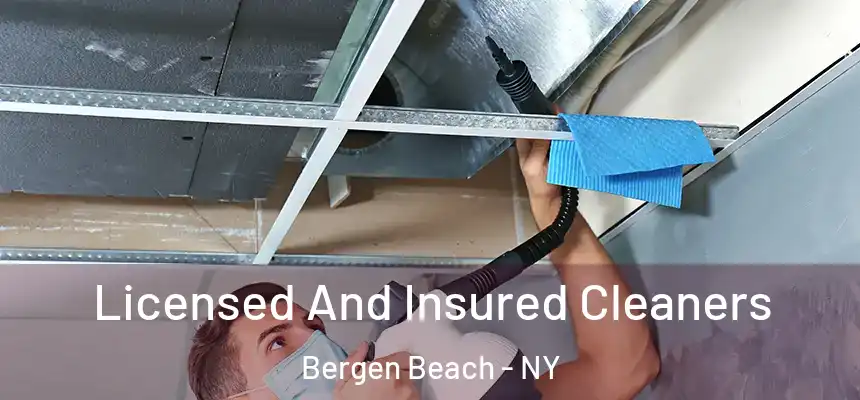 Licensed And Insured Cleaners Bergen Beach - NY