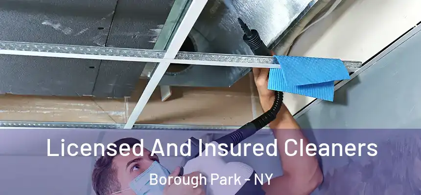  Licensed And Insured Cleaners Borough Park - NY