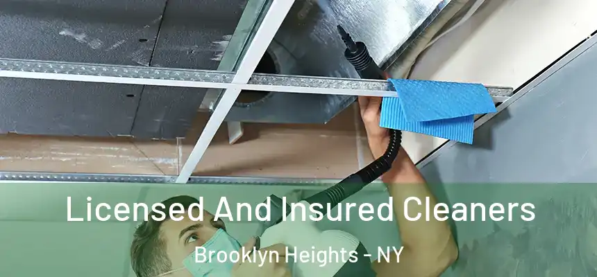  Licensed And Insured Cleaners Brooklyn Heights - NY