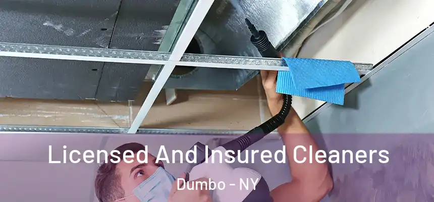 Licensed And Insured Cleaners Dumbo - NY