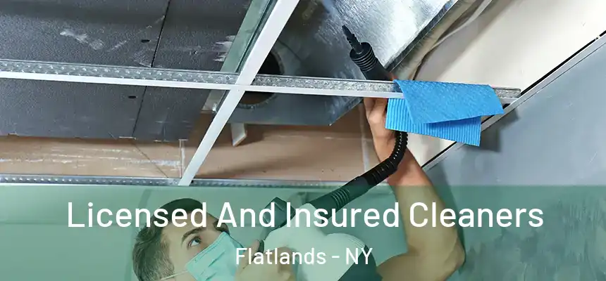 Licensed And Insured Cleaners Flatlands - NY
