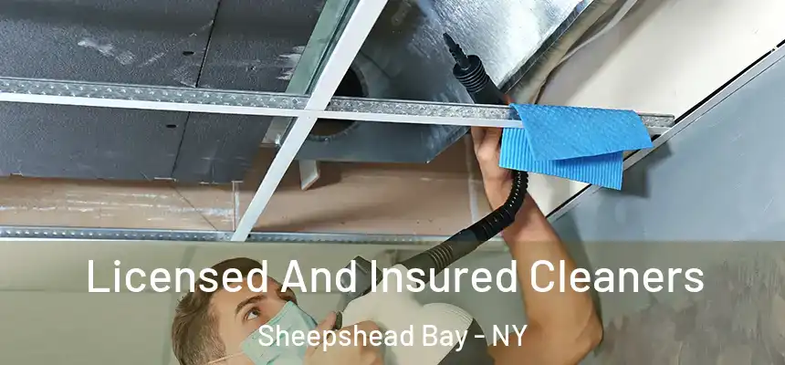 Licensed And Insured Cleaners Sheepshead Bay - NY