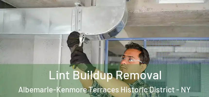 Lint Buildup Removal Albemarle-Kenmore Terraces Historic District - NY