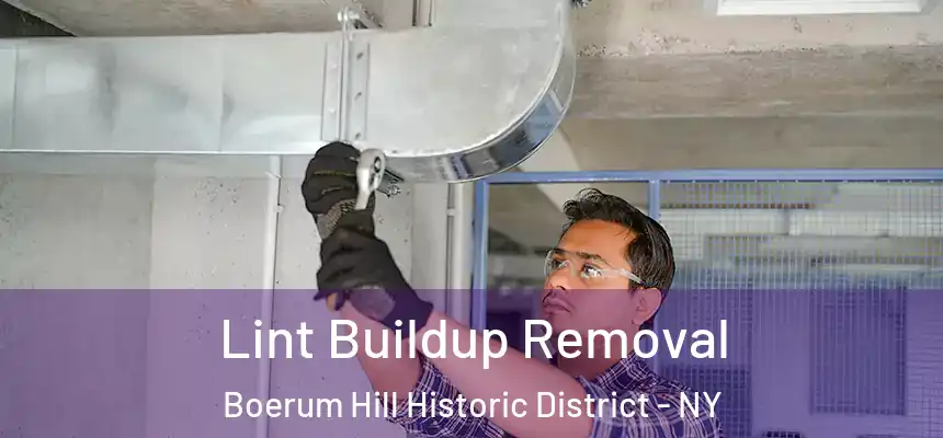 Lint Buildup Removal Boerum Hill Historic District - NY