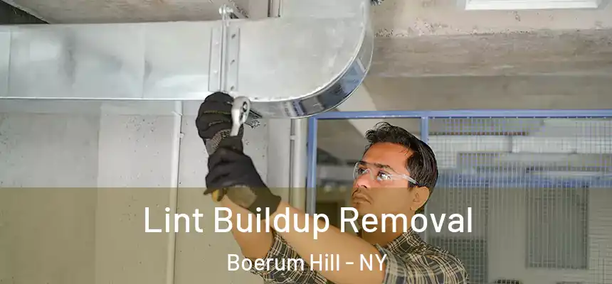 Lint Buildup Removal Boerum Hill - NY