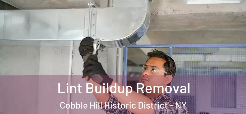 Lint Buildup Removal Cobble Hill Historic District - NY